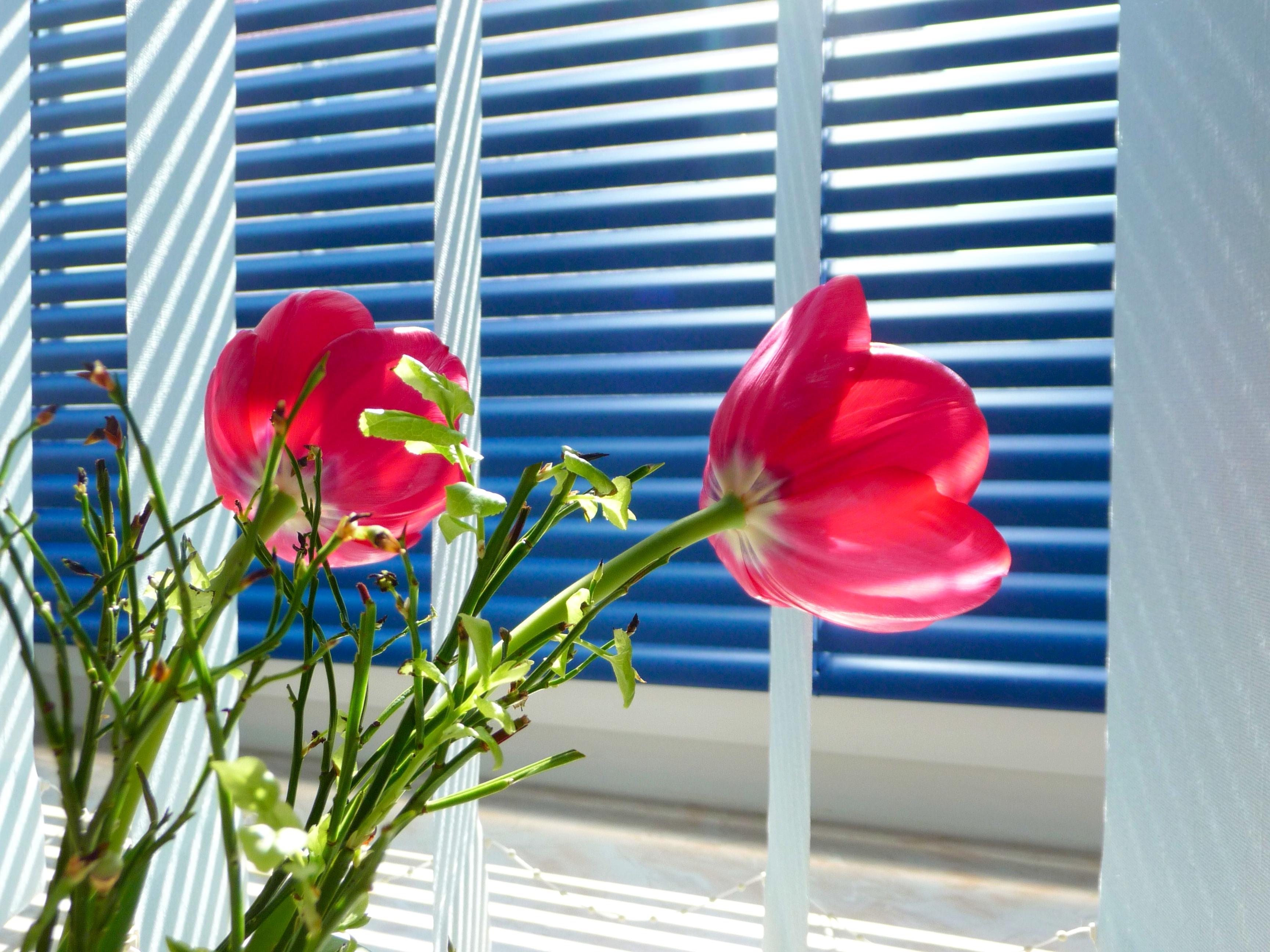 Sommerlicher Wärmeschutz