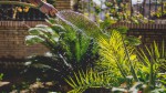 Gartengestaltungstipp: Umrüstung zur LED – Gartenbeleuchtung hilft Kosten zu sparen
