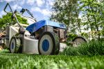 Arbeit im hauseigenen Garten