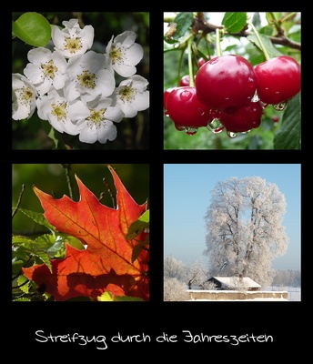 Streifzug durch die Jahreszeiten: Sommer & Winter; Bild: Petra Hegewald / pixelio.de