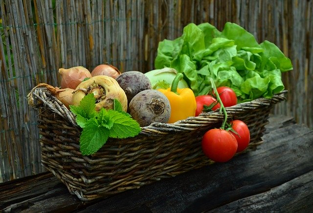 Vitamine für unseren Körper
