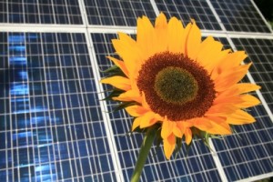 Das Erneuerbare Energien Wärmegesetz – EEWärmeG; Bild: RainerSturm / pixelio.de