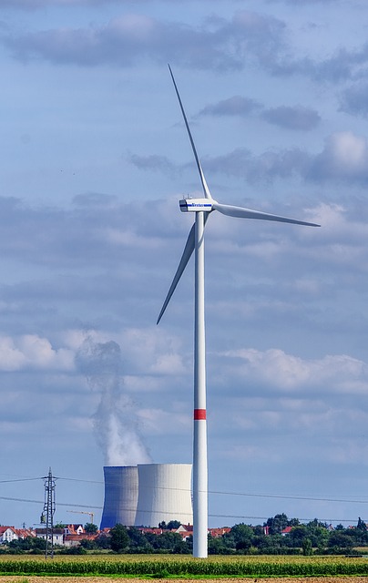 Strom aus Atomkraft oder doch aus erneuerbaren Energien? Energiepolitik in Deutschland: Kosten vs. Risiko
