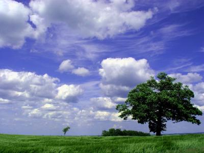 Wetter & Wolken; Bild: Marco Barnebeck(Telemarco) / pixelio.de
