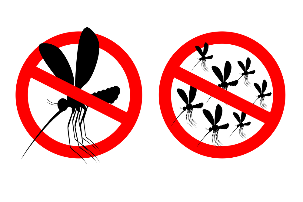 Mit dem richtigen Schutz Insekten im Haus verhindern; Bild: © Top Vector Studio / Shutterstock