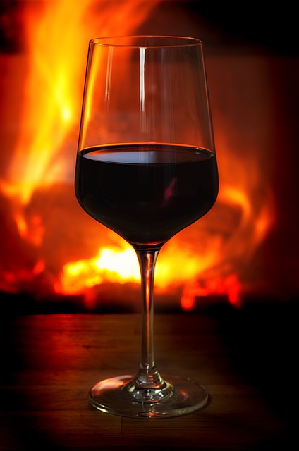 Gemütlichkeit vor dem Kamin