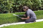 Gartenplanung: Tipps und Ideen für ungenutzte Gartenecken