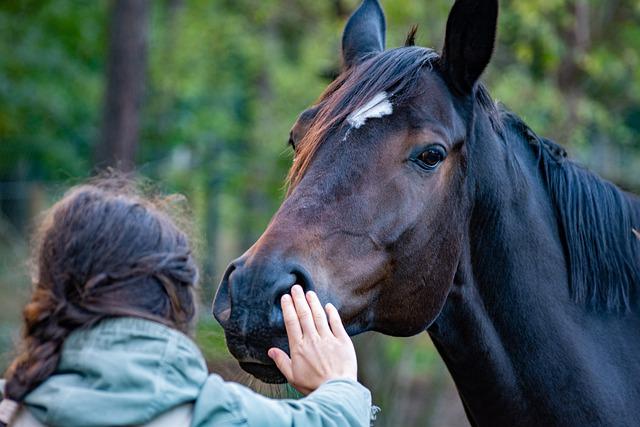 Pferdegeruch effektiv beseitigen: So sorgen Sie wieder für frische Luft