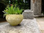 Cashpo - interessante und ungewöhnliche Cashpo im Interieur des Hauses