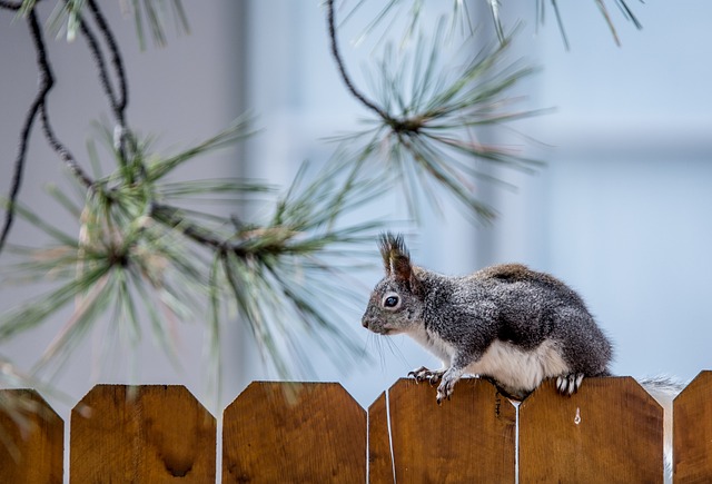 Optisch ansprechender Gartenzaun als Gestaltungselement der privaten Grünfläche